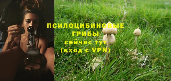 гашик Кулебаки