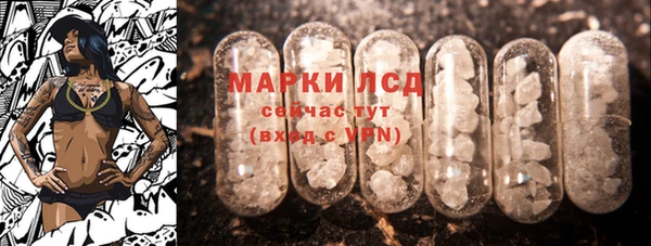 гашик Кулебаки
