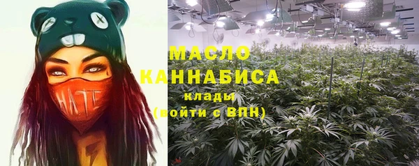 гашик Кулебаки