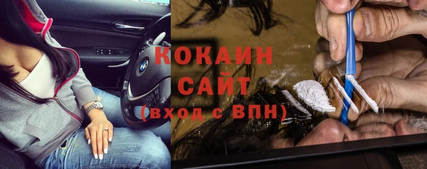 гашик Кулебаки