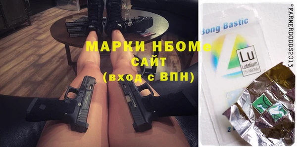 гашик Кулебаки